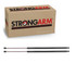 1989-1991 Pontiac Tempest Hatch Lift Support