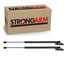 1997-1999 Infiniti QX4 Liftgate Lift Support
