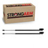 1991-1995 Acura Legend Hood Lift Support
