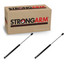 2001-2004 Dodge Atos Hatch Lift Support 2001-2004 Dodge Atos Hatch Lift Support