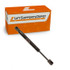 2021-2024 Kia Sportage Liftgate Lift Support