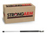 95424,  6203L,  C95424, 6203L compatible Strong Arm Lift Support