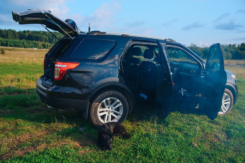 An open SUV gate