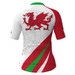 Wales Flag Women's Cycling Jersey V3