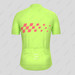 Men's Gradient Race Flag Cycling Jersey - Green/Guava