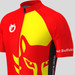 Customized Cycling Jersey For WSW club 