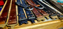 Bunker Pant Belt