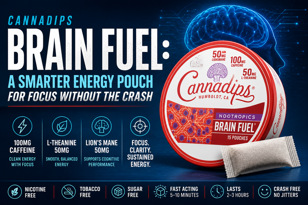 Cannadips Brain Fuel: A Smarter Energy Pouch for Focus Without the Crash