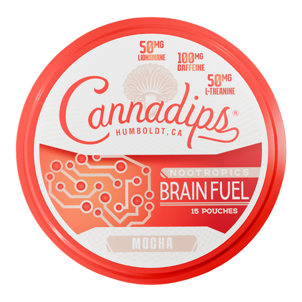 Mocha CANNADIPS Brain Fuel Pouches