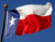 The flag of the great state of Texas!