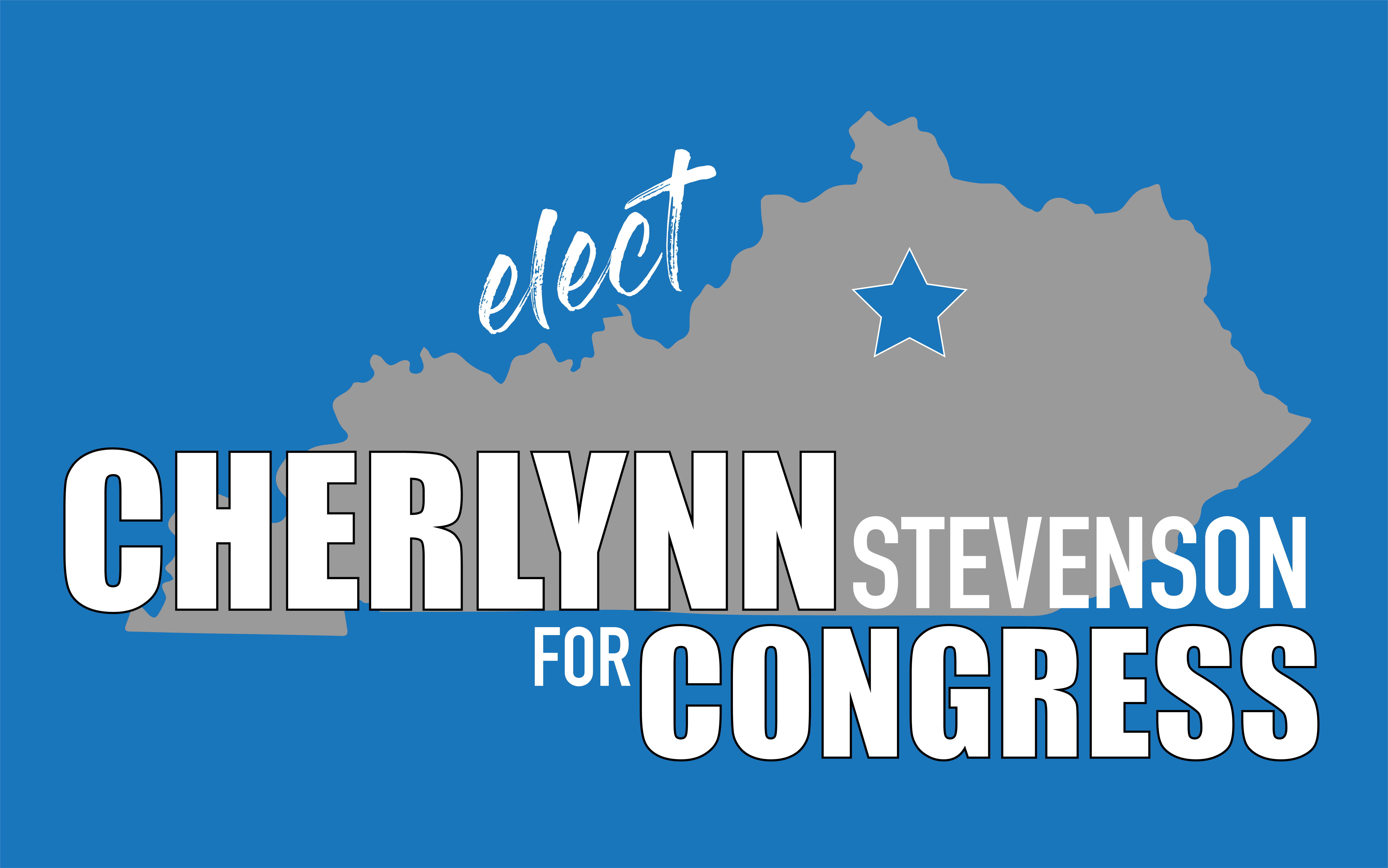 Cherlynn Stevenson for Congress Store