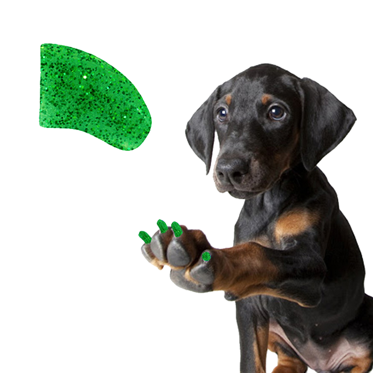 Emerald Glitter - Dog 20 Pack
