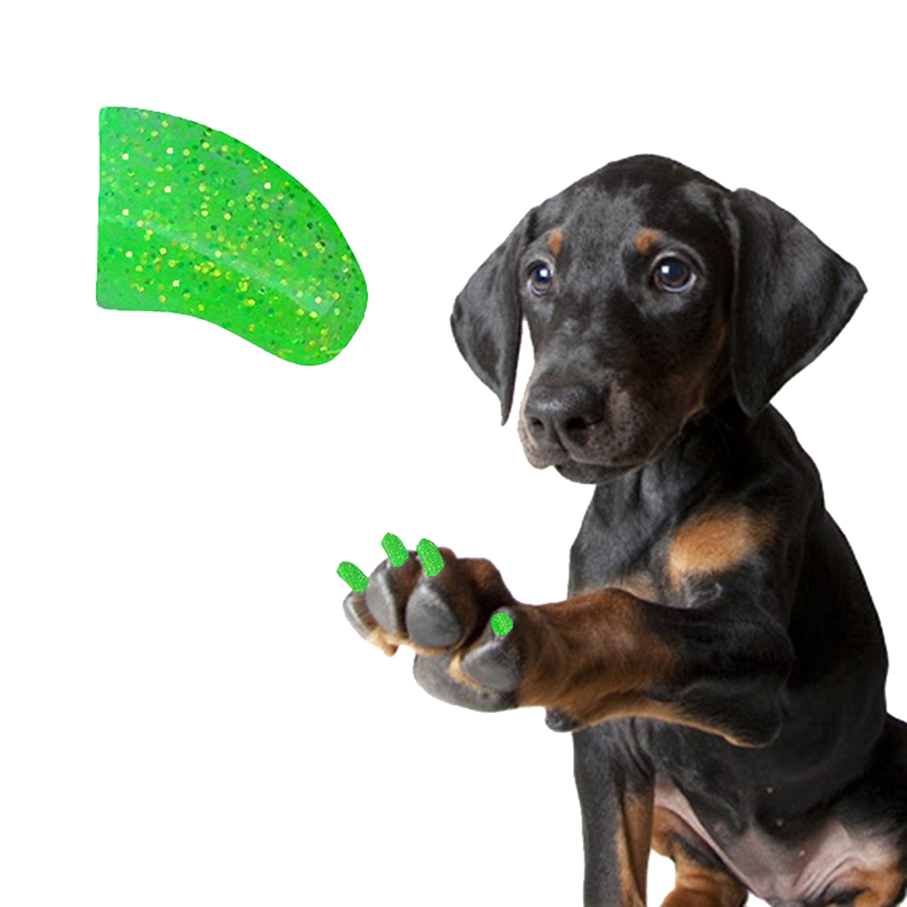 Key Lime Glitter - Dog 20 Pack