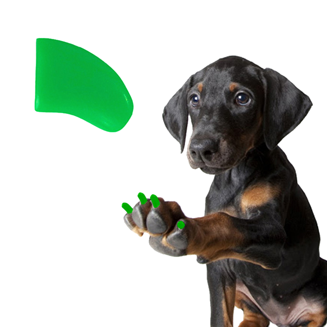 Shamrock Green - Dog 60 Pack