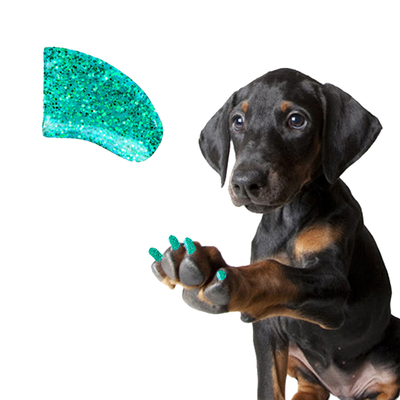 Mermaid Glitter - Dog 120 Pack