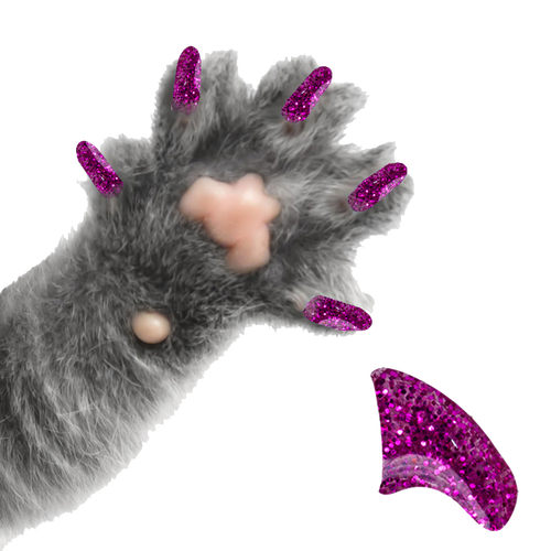 Electric Lollipop Pink - Cat 20 Pack