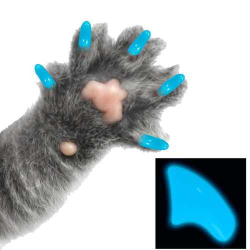 Bahama Blue Glow - Cat 60 Pack