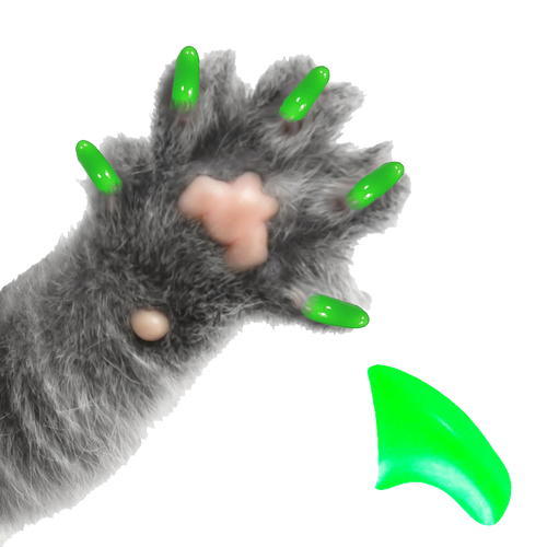 Cool Mint Green - Cat 60 Pack