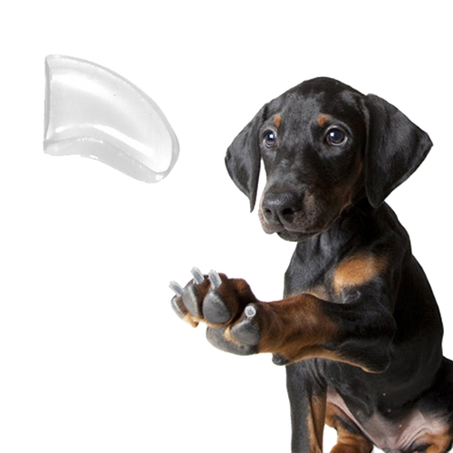 Crystal Clear - Dog 20 Pack