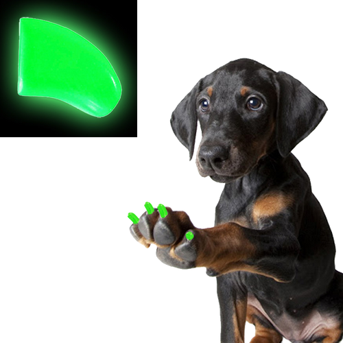 Alien Glow in the Dark - Dog 60 Pack