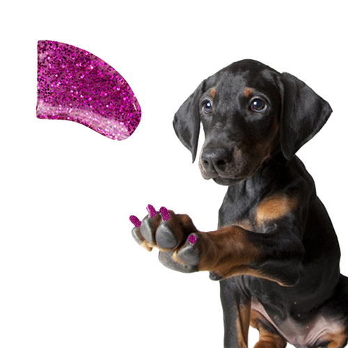 Electric Lollipop Pink - Dog 60 Pack