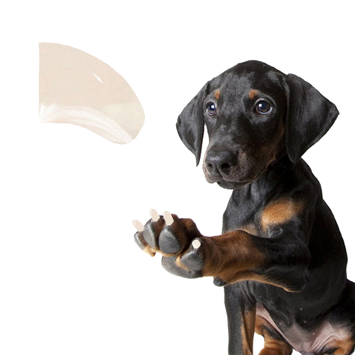 Ivory - Dog 120 Pack