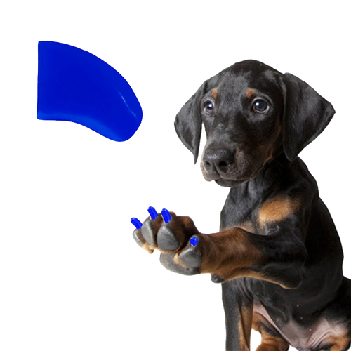 Summer Sky Blue - Dog 120 Pack