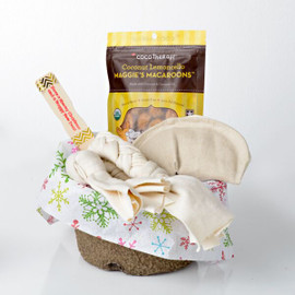 Holiday gift basket for medium sized dogs.  Natural dog toys made in the USA.  Gift basket is a reusable garden pot.  Eco friendly gift packaging .  