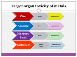 Heavy Metals - What is all the Fuss?