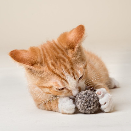 Our wool dust bunnies are perfect toys for kittens! Light weight and fun to chase!  Hours of Fun - Plastic free cat toys to stalk, chase, and juggle!