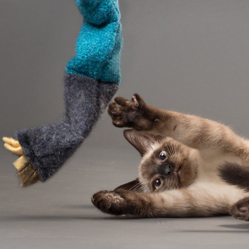 Fun Segmented Wooly Kitty Kicker - Catnip Free Cat Toy - Felted