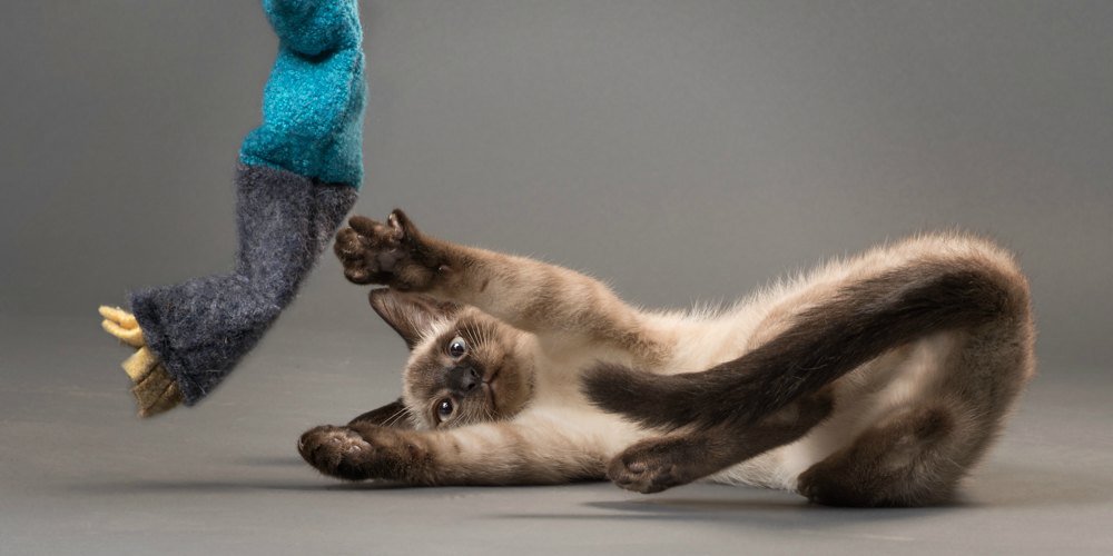 organic dog toys natural
