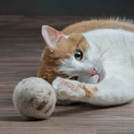 Large Felted Wool Ball Cat Toy- Perfect ball for a big kitty who likes to bunny kick - Cats love the texture of wool - Plastic free/Washable