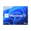 Microsoft Windows 11 Pro 64 Bit 1PK DSP DVD  FQC-10529