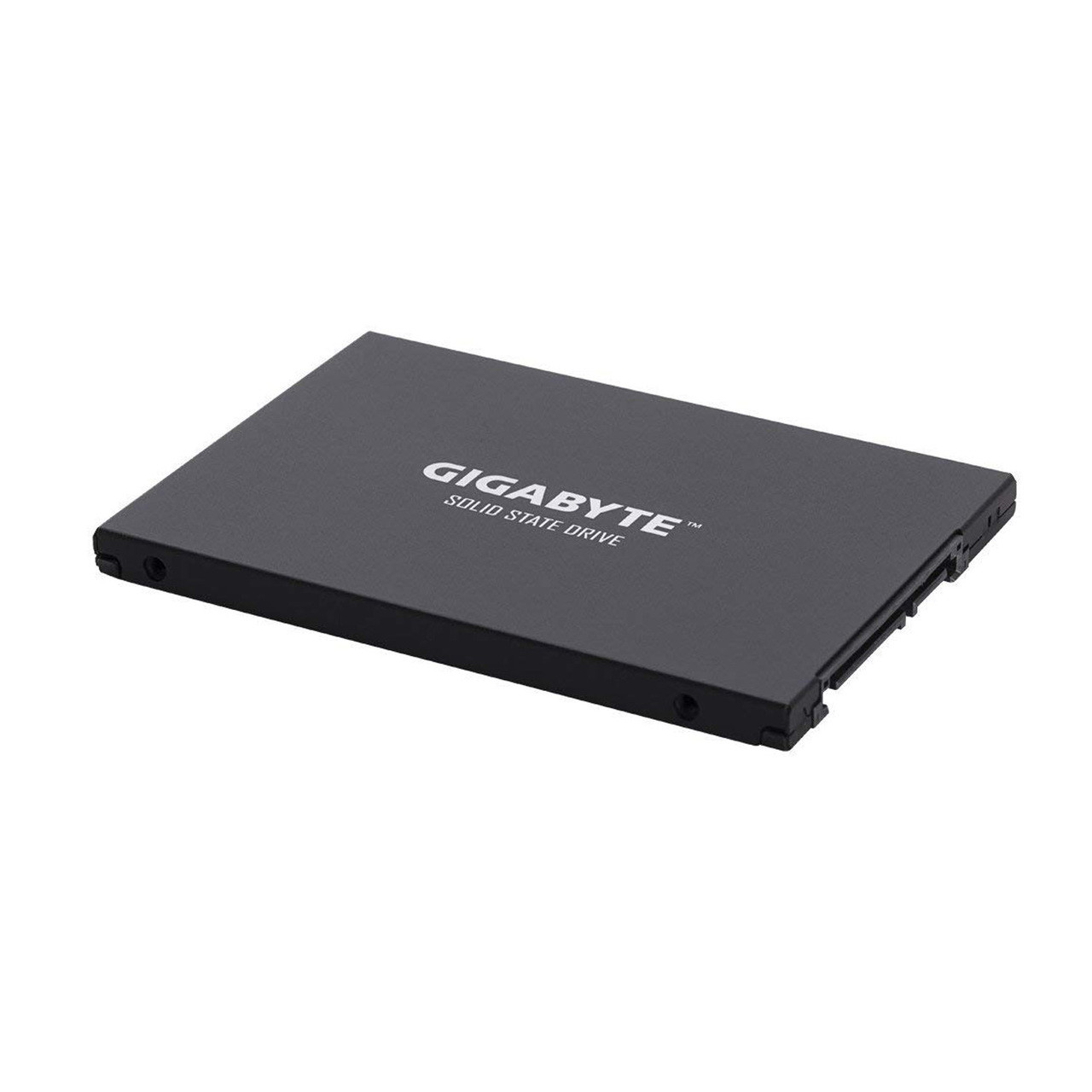 Gigabyte GP-GSTFS30256GTTD  UD PRO 256GB 2.5" Internal SSD