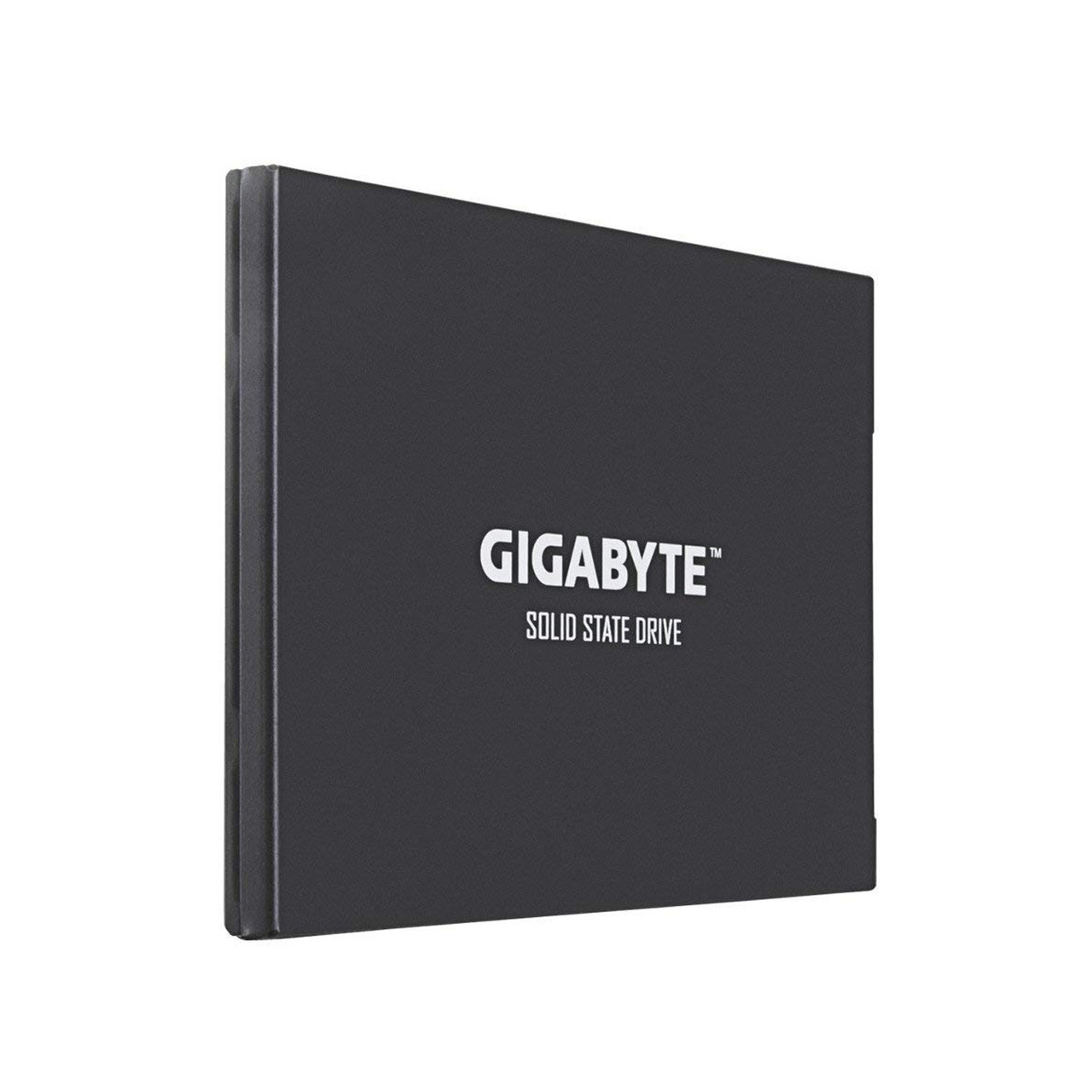 Gigabyte GP-GSTFS30256GTTD  UD PRO 256GB 2.5" Internal SSD