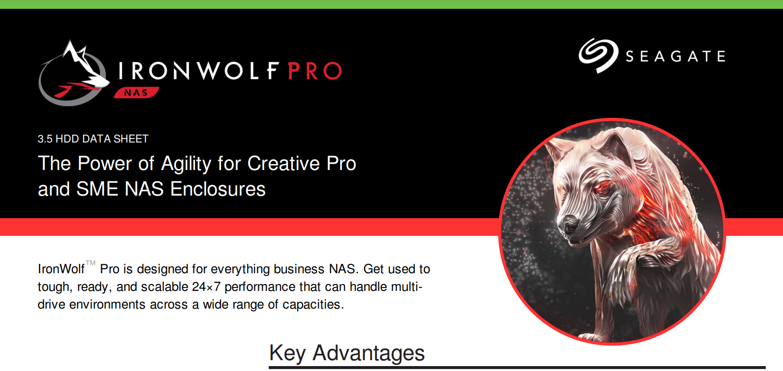 ironwolf-pro-nas-hdd-01.jpg ironwolf-pro-nas-hdd-01.jpg