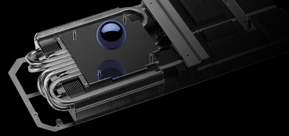 maxcontact.jpg maxcontact.jpg