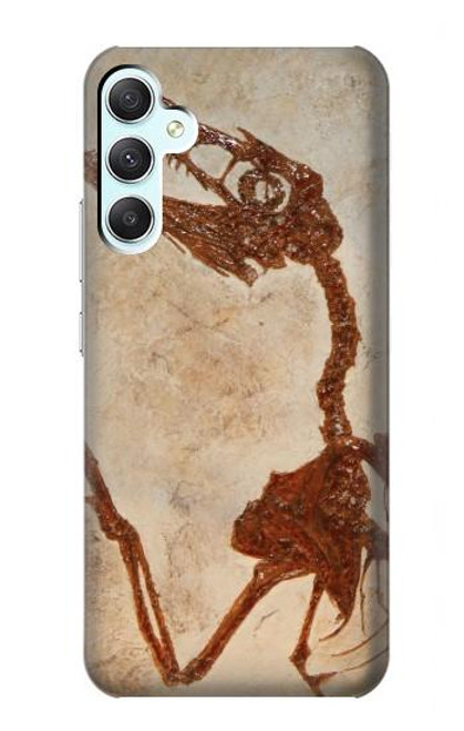 W0379 Dinosaur Fossil Funda Carcasa Case y Caso Del Tirón Funda para Samsung Galaxy A34 5G