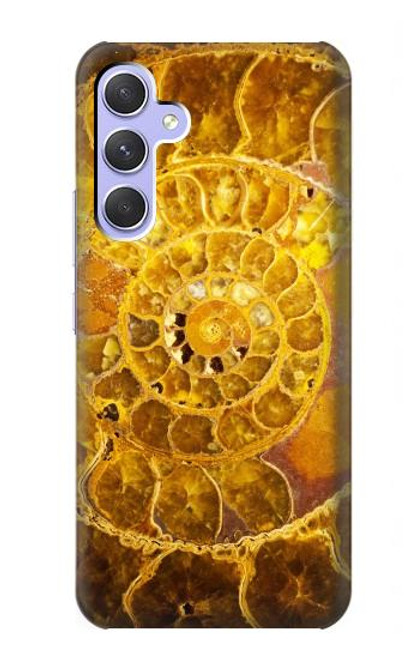 W1789 Ammonite Fossils Funda Carcasa Case y Caso Del Tirón Funda para Samsung Galaxy A54 5G