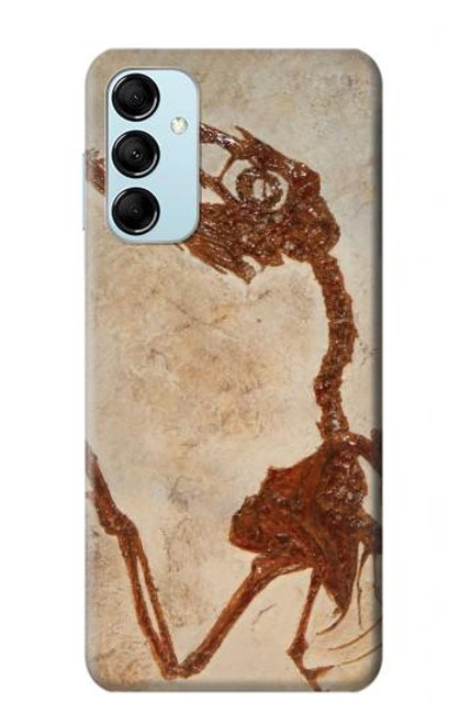 W0379 Dinosaur Fossil Funda Carcasa Case y Caso Del Tirón Funda para Samsung Galaxy M14