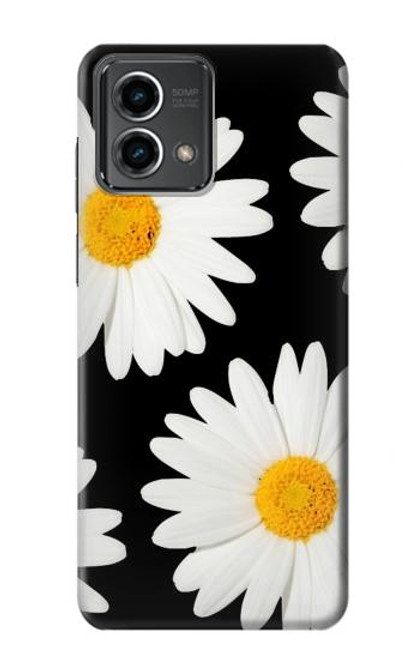 W2477 Daisy flower Funda Carcasa Case y Caso Del Tirón Funda para Motorola Moto G Stylus 5G (2023)