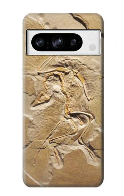 W0380 Dinosaur Fossil Funda Carcasa Case y Caso Del Tirón Funda para Google Pixel 8 pro