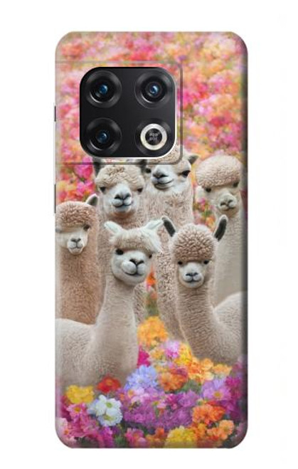 W3916 Alpaca Family Baby Alpaca Funda Carcasa Case y Caso Del Tirón Funda para OnePlus 10 Pro