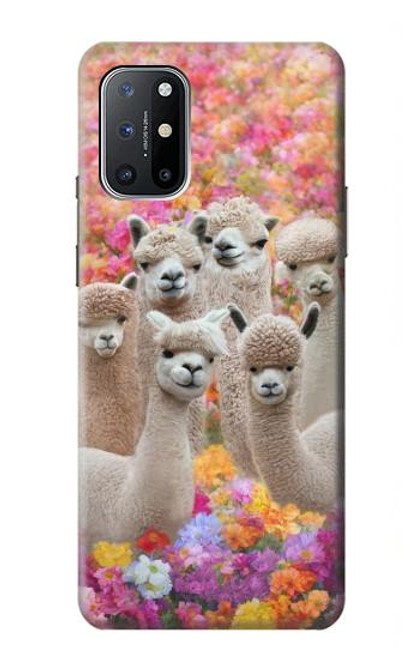 W3916 Alpaca Family Baby Alpaca Funda Carcasa Case y Caso Del Tirón Funda para OnePlus 8T