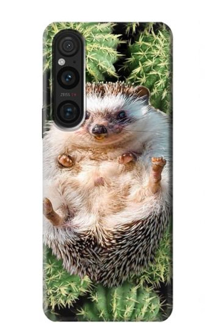 W3863 Pygmy Hedgehog Dwarf Hedgehog Paint Funda Carcasa Case y Caso Del Tirón Funda para Sony Xperia 1 V