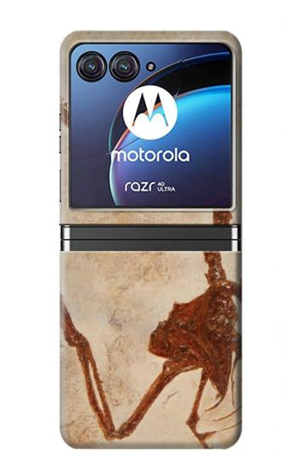 W0379 Dinosaur Fossil Funda Carcasa Case y Caso Del Tirón Funda para Motorola Razr 40 Ultra