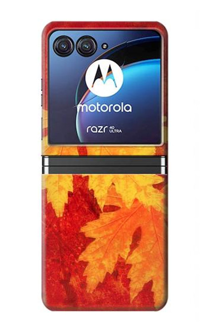 W0479 Maple Leaf Funda Carcasa Case y Caso Del Tirón Funda para Motorola Razr 40 Ultra