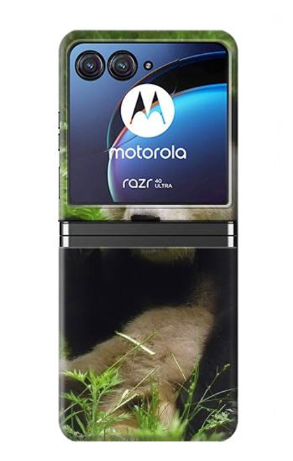 W1073 Panda Enjoy Eating Funda Carcasa Case y Caso Del Tirón Funda para Motorola Razr 40 Ultra