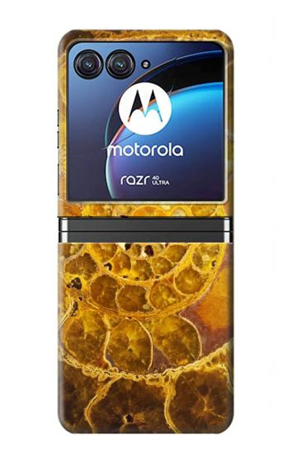 W1789 Ammonite Fossils Funda Carcasa Case y Caso Del Tirón Funda para Motorola Razr 40 Ultra